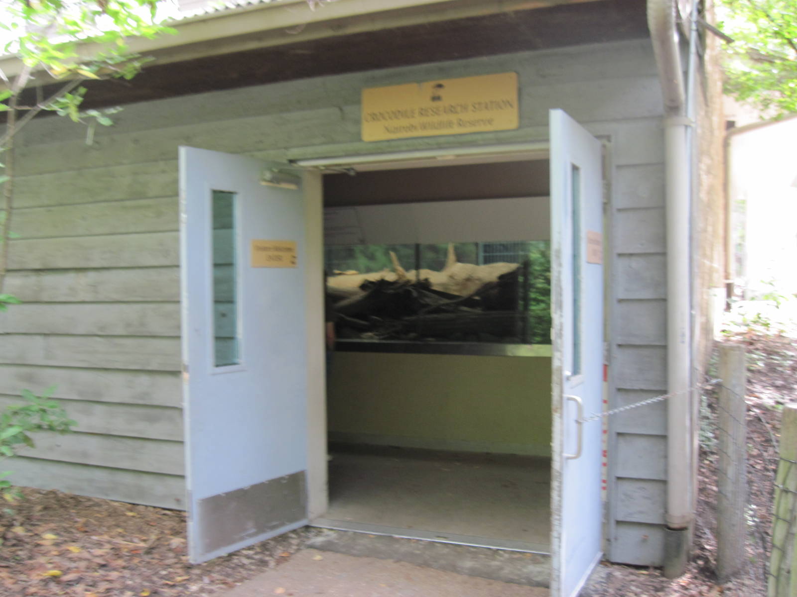 Africa-Crocodile Reseach Station