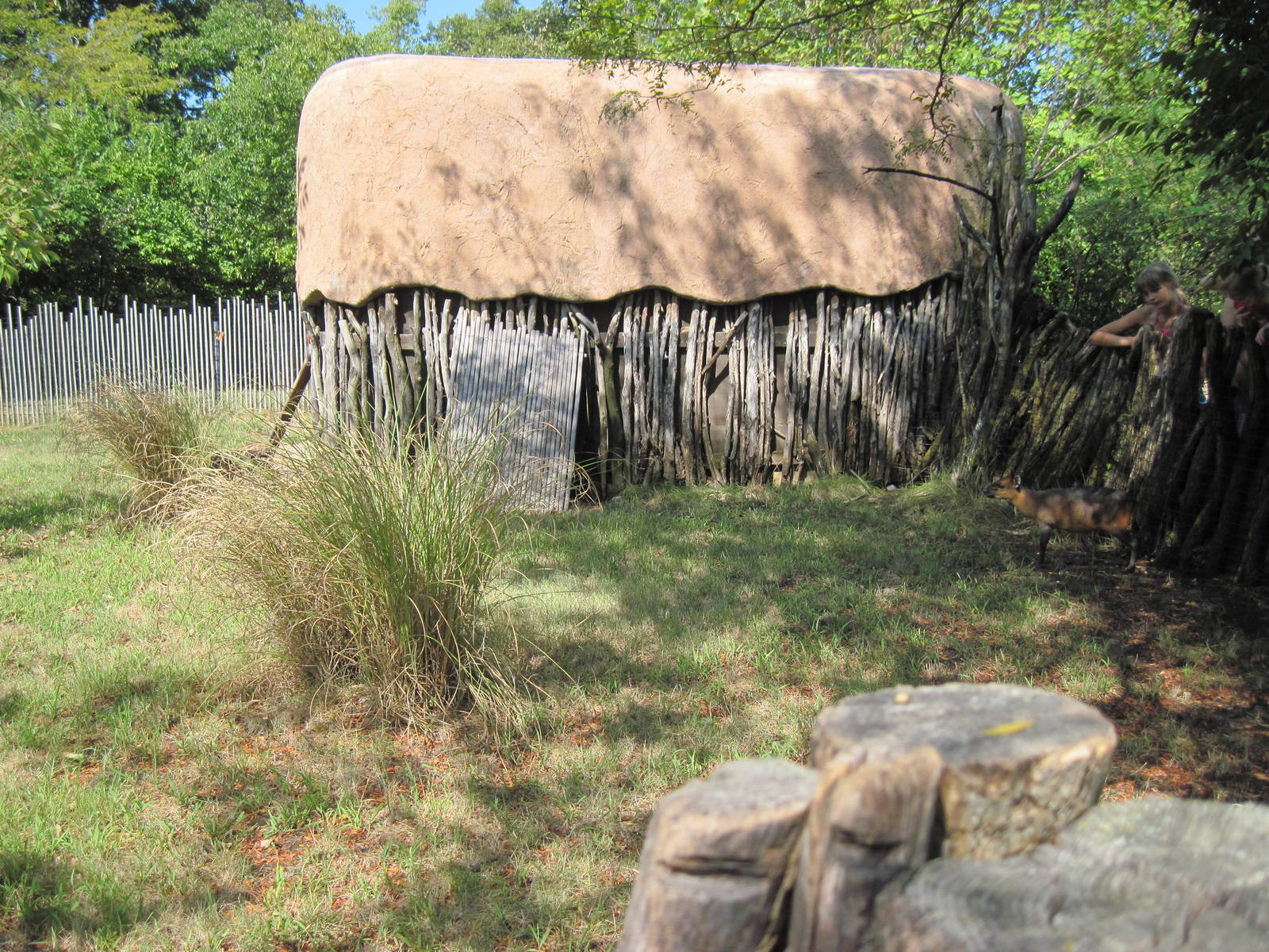 Africa-Duiker Exhibit