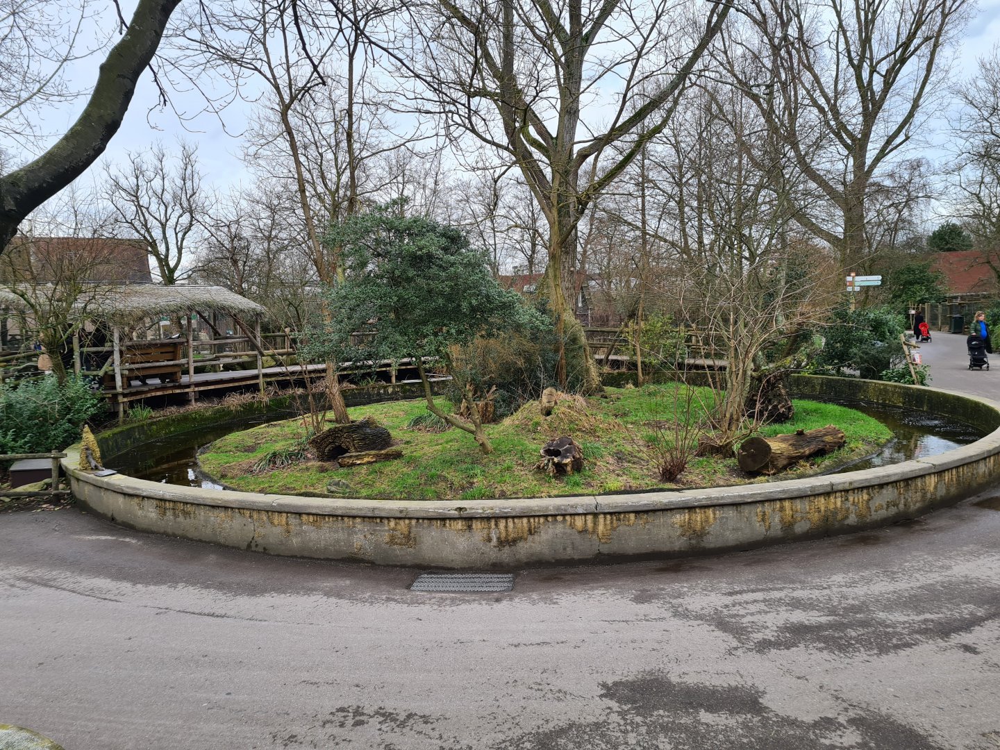 Africa - Dwarf mongoose enclosure