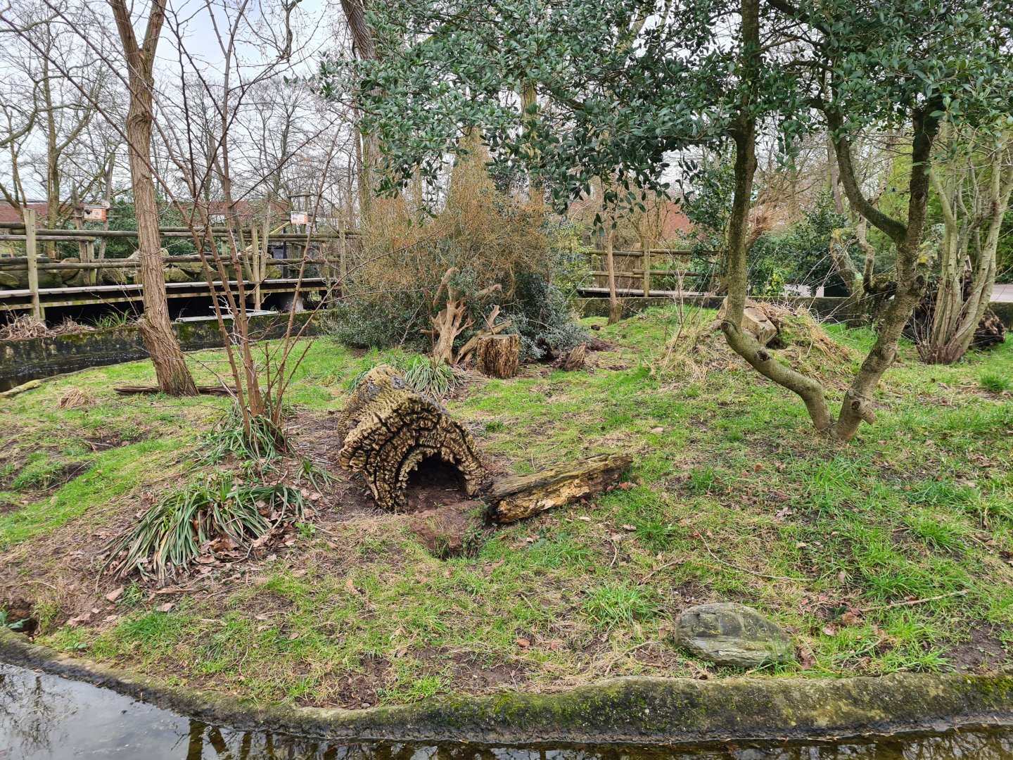 Africa - Dwarf mongoose enclosure