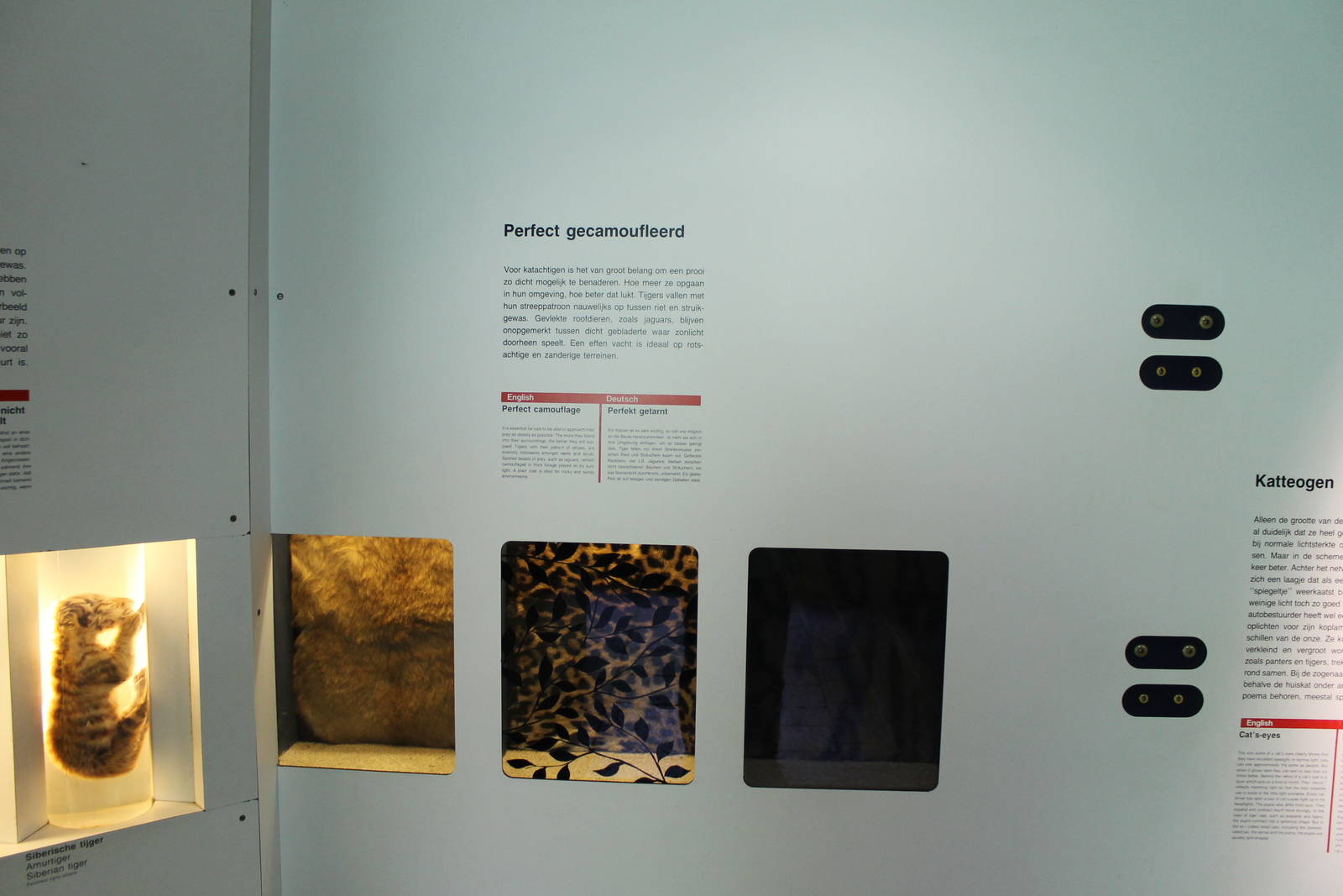 Africa - Education in the panther tunnel