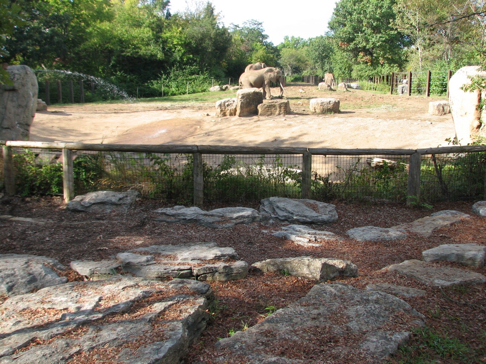 Africa - Elephant Exhibit
