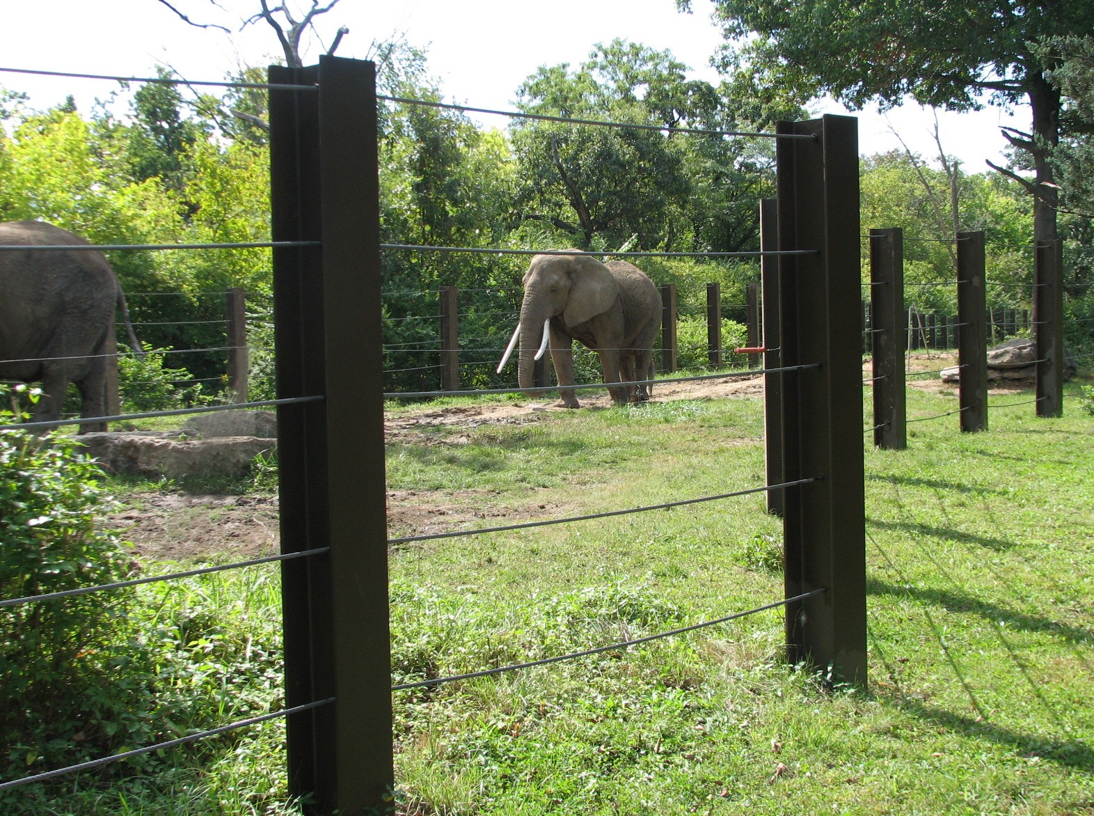 Africa - Elephant Exhibit