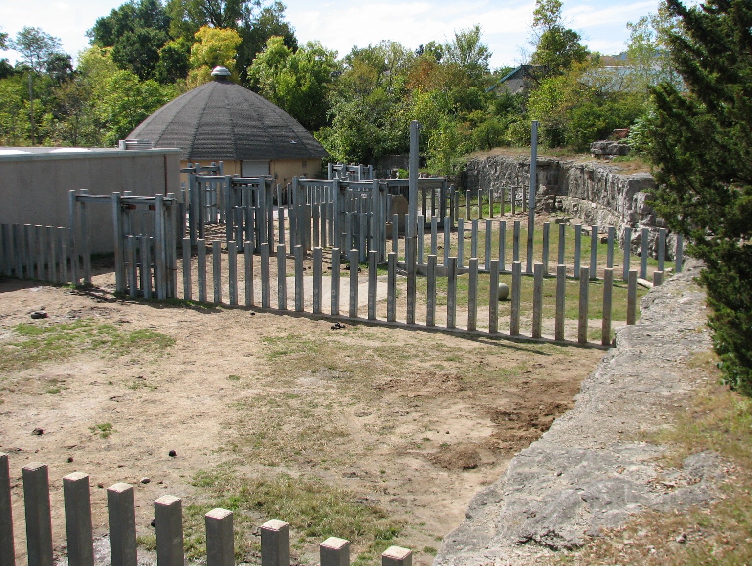 Africa - Elephant Holding Area