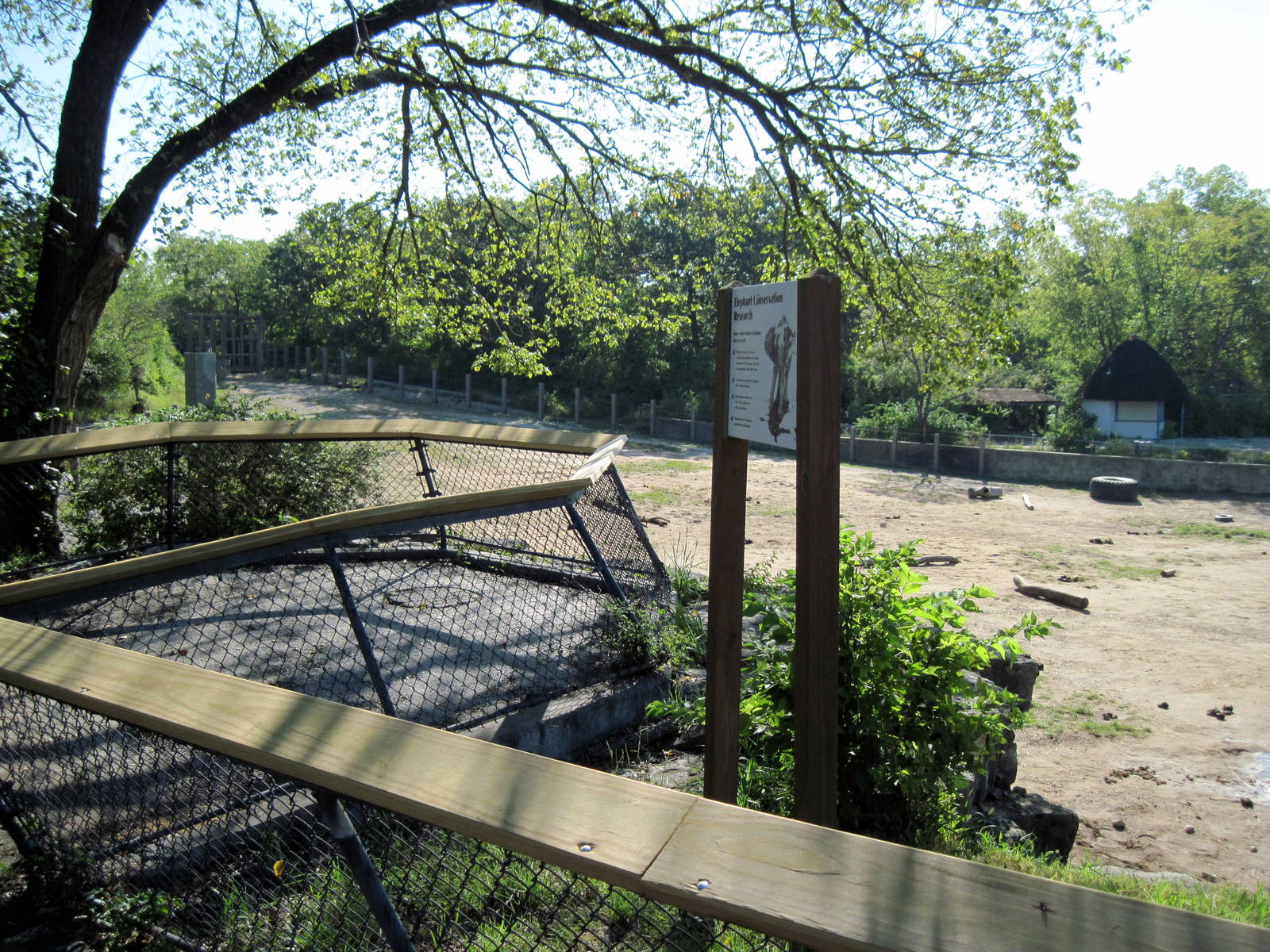 Africa-Elephant Overlook