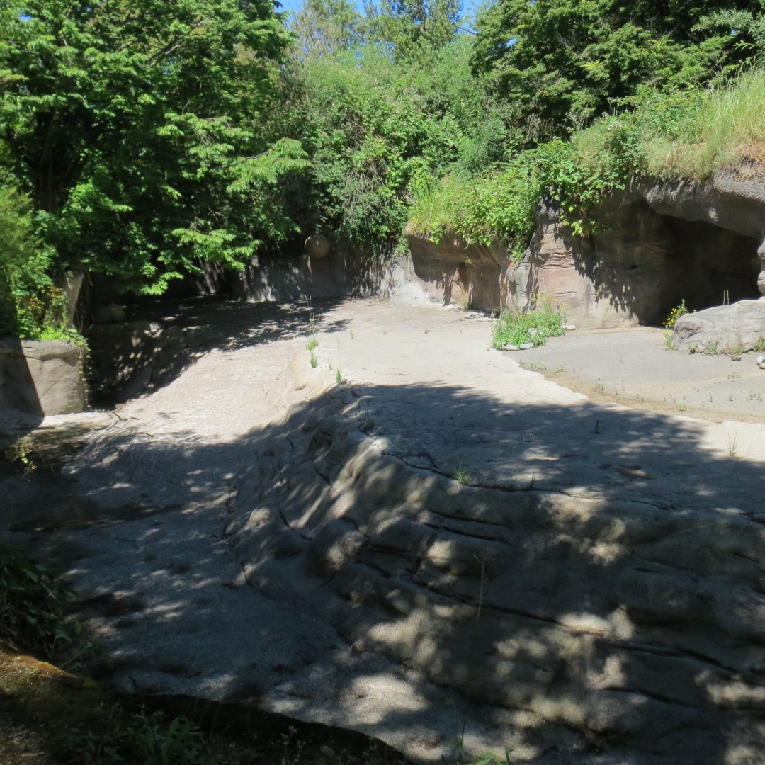 Africa - Empty Exhibit