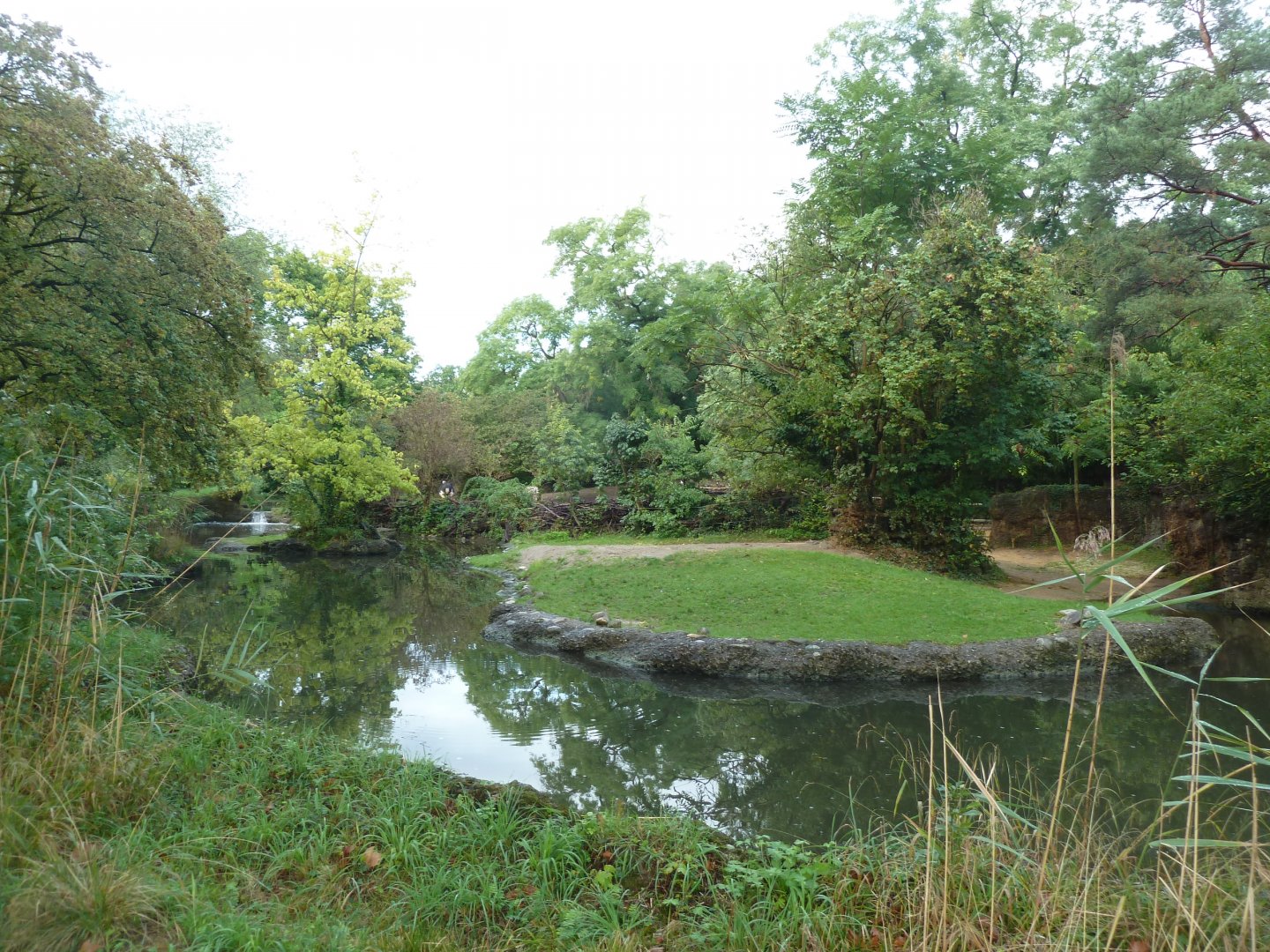 Africa enclosure - Hippo enclosure