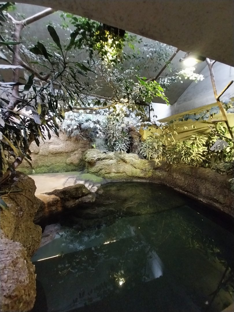 Africa enclosure - Hippo house - Hippo pool