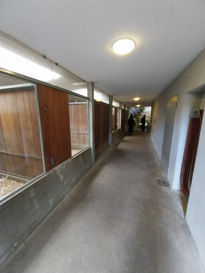 Africa enclosure - Hippo house - visitor area