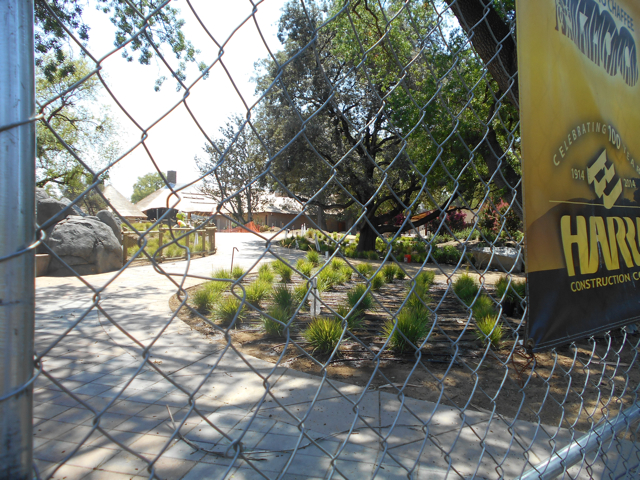 Africa exhibit construction