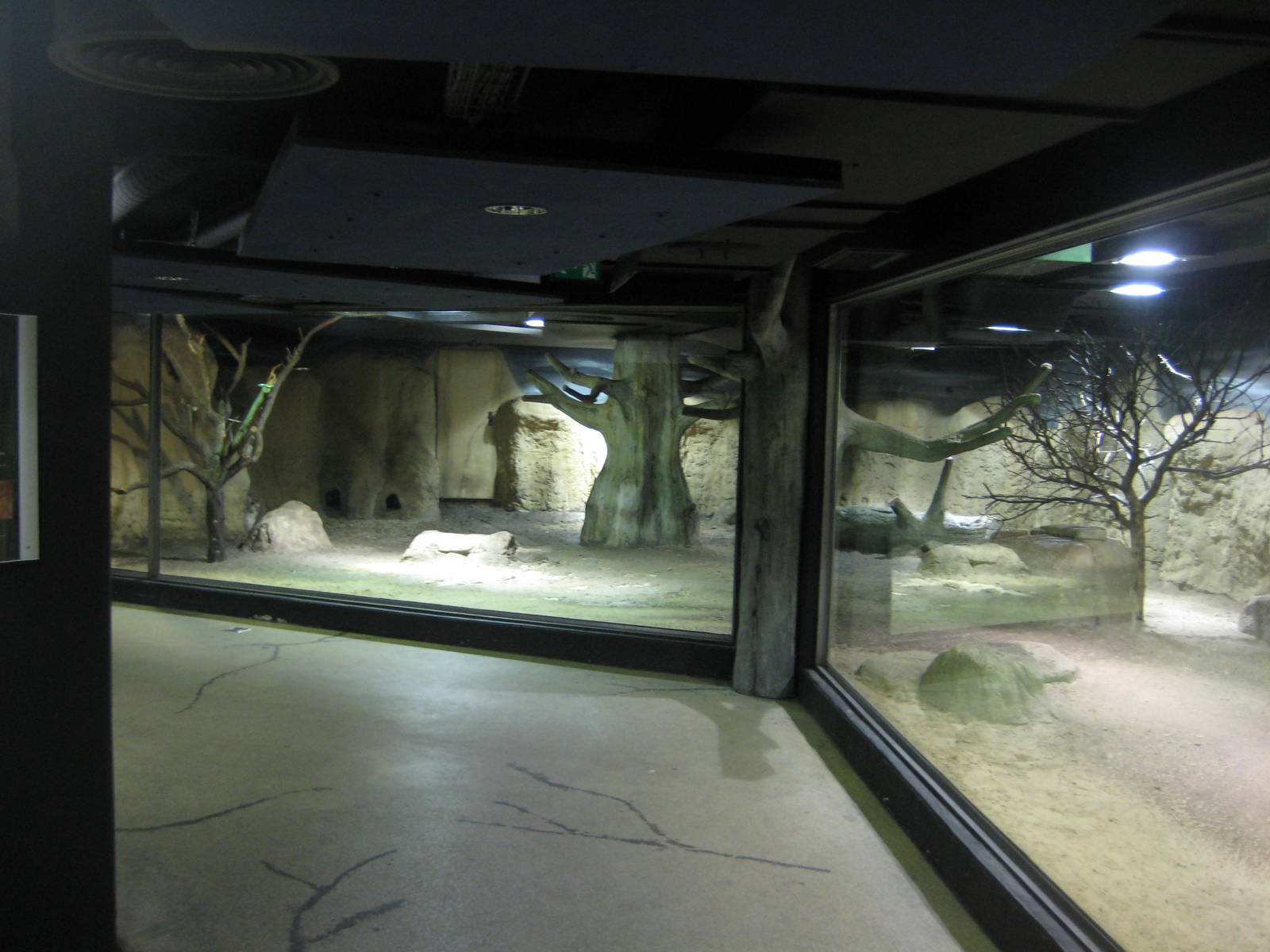 Africa Exhibit