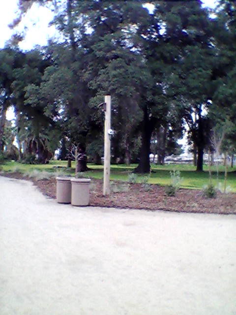 Africa expansion area