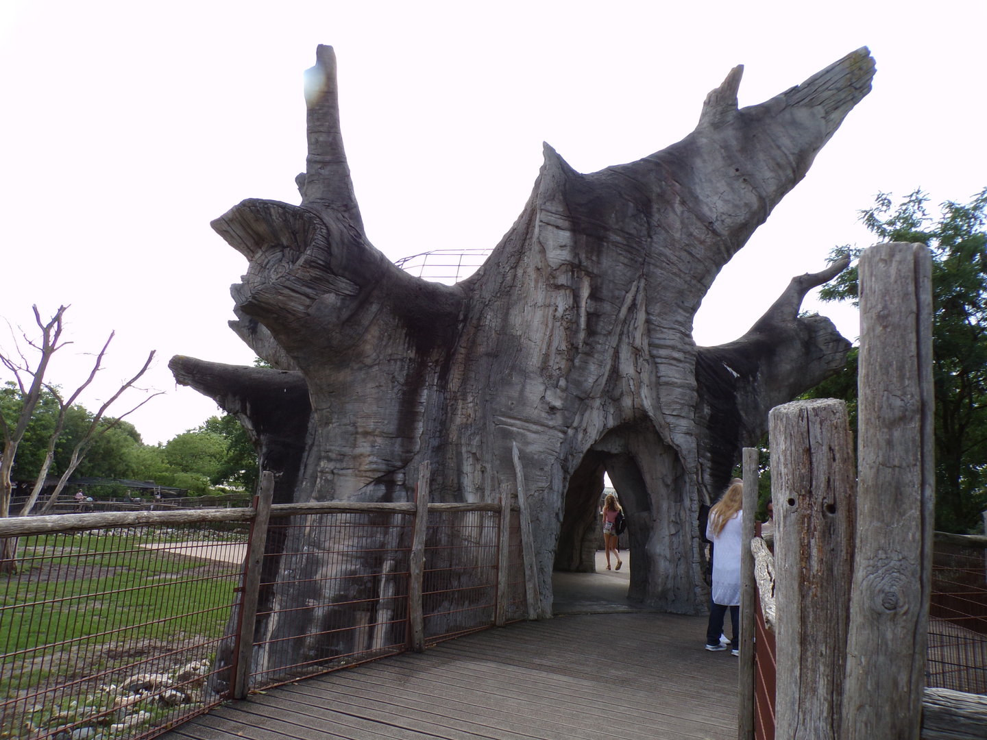 Africa- Fake tree viewing area 13.7.23