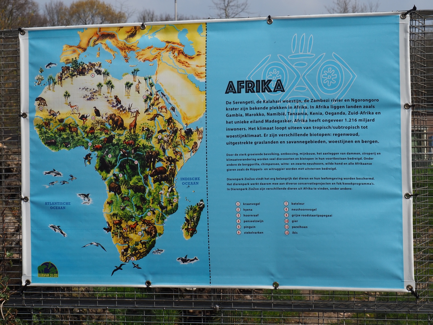 Africa fence banner, 2019-04-06