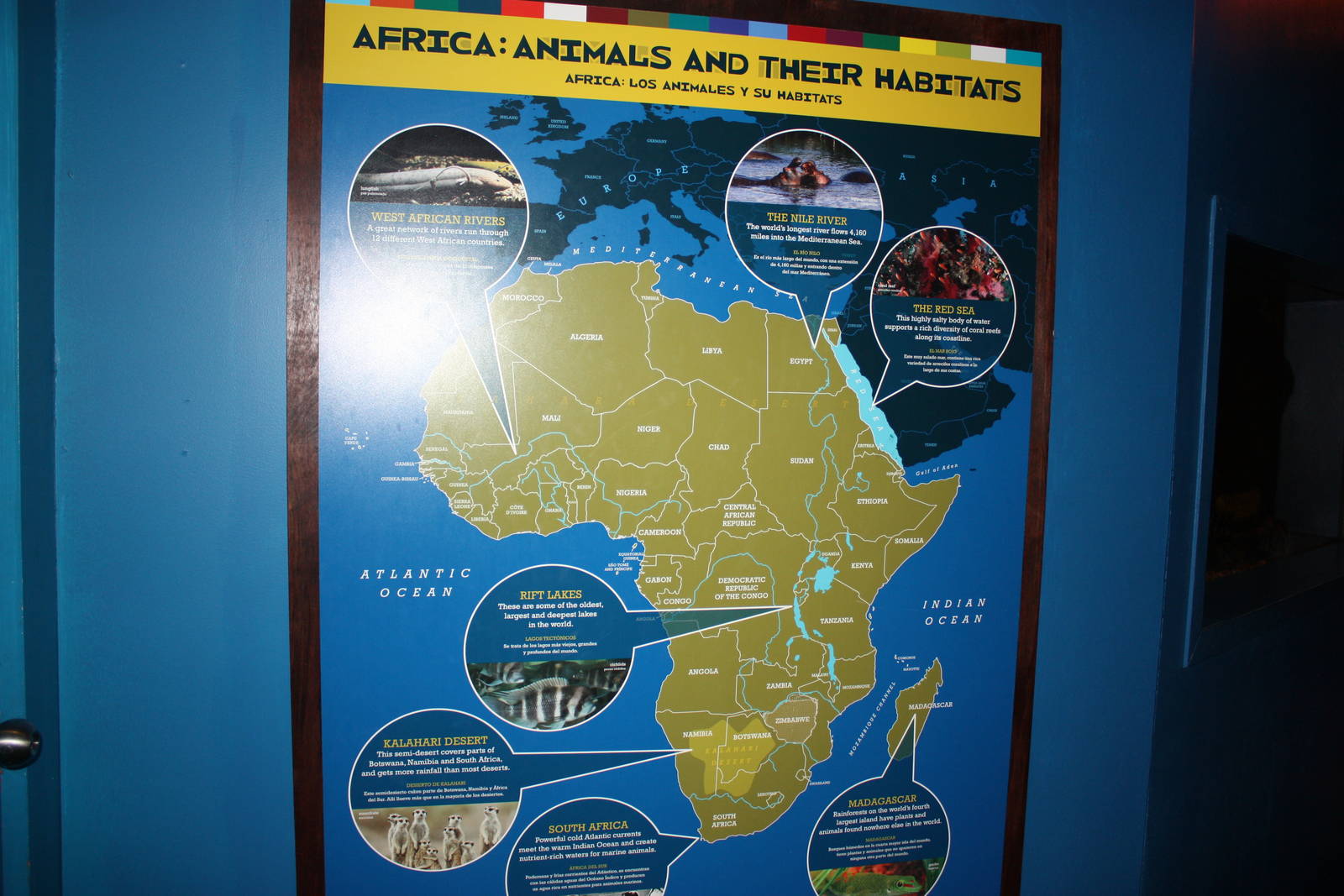 Africa: From the Desert to the Sea- Africa's Aquatic Habitats