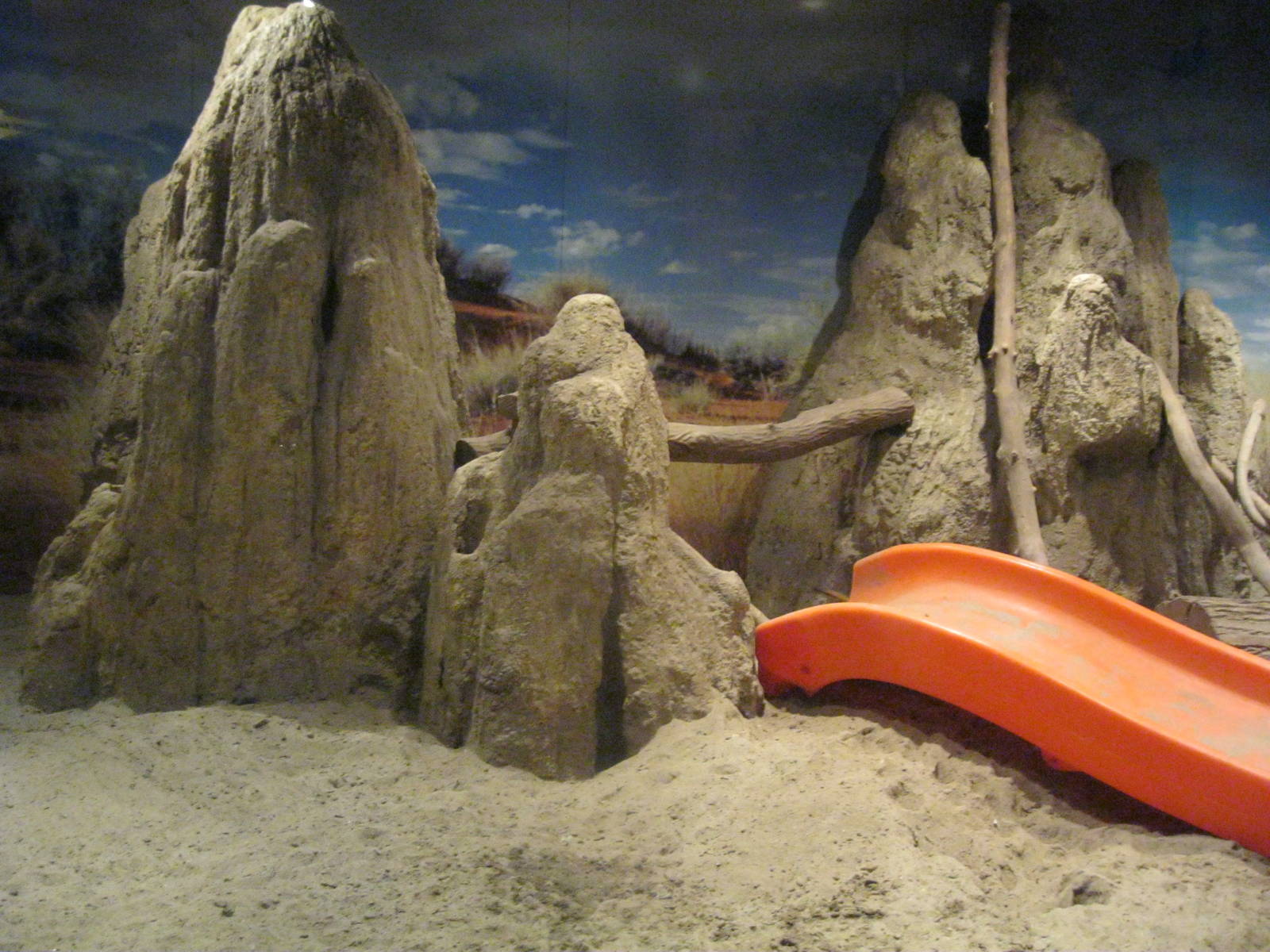 Africa: From the Deserts to the Sea- Meerkat Exhibit