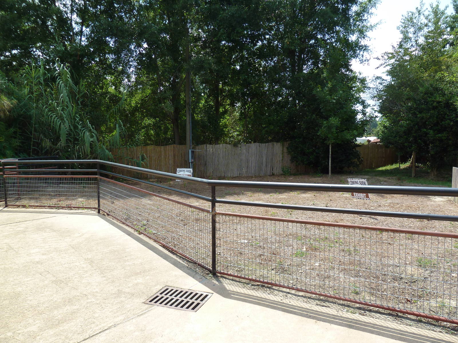 Africa - Future Zebu Exhibit