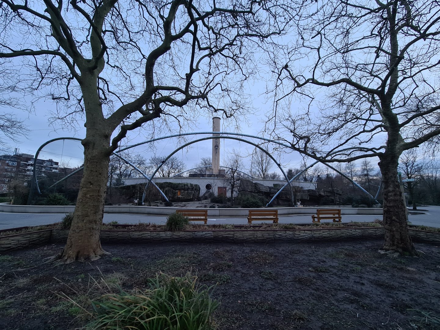 Africa - Gelada complex