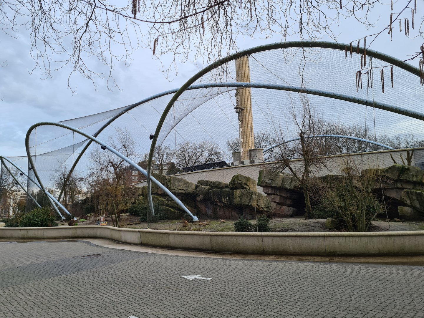 Africa - Gelada complex