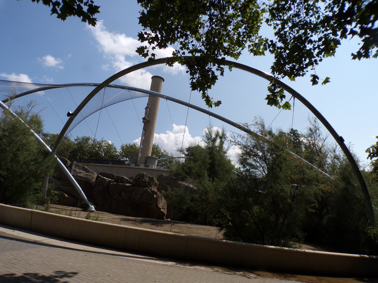 Africa- Gelada enclosure 13.7.23