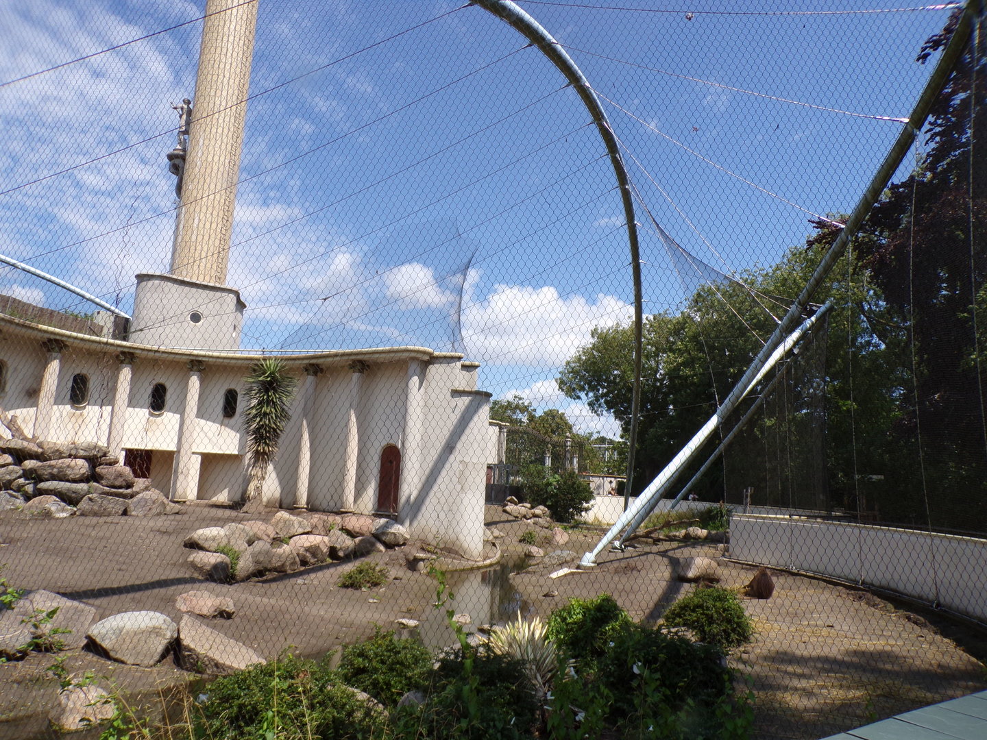 Africa- Gelada enclosure 13.7.23