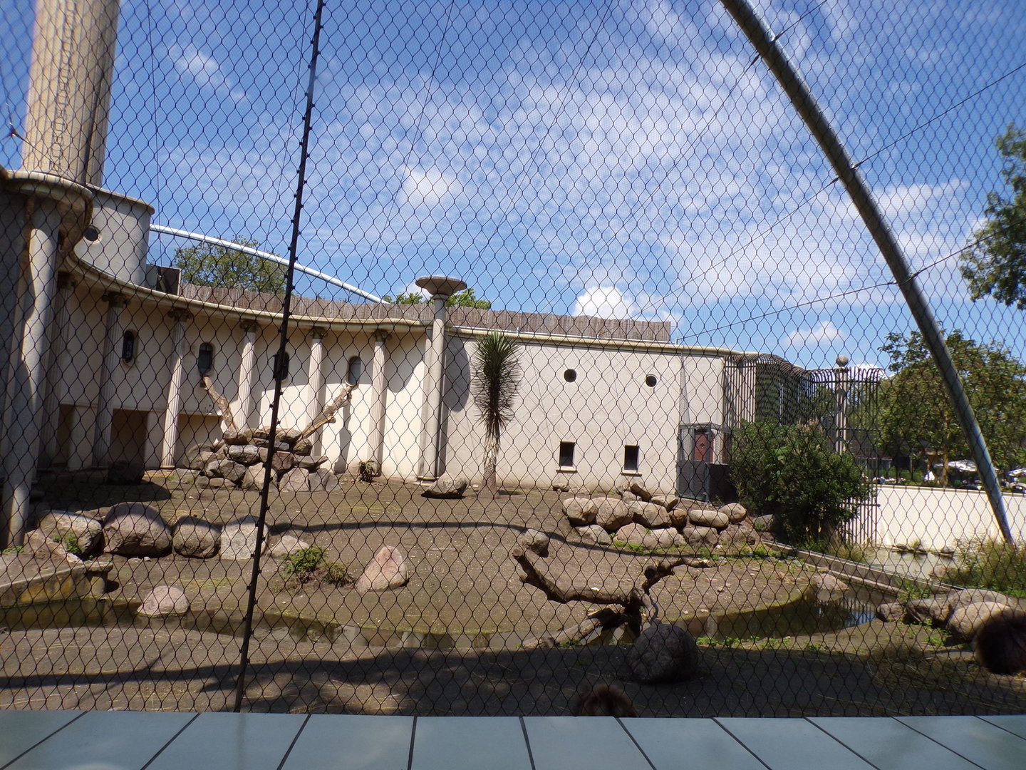 Africa- Gelada enclosure 13.7.23