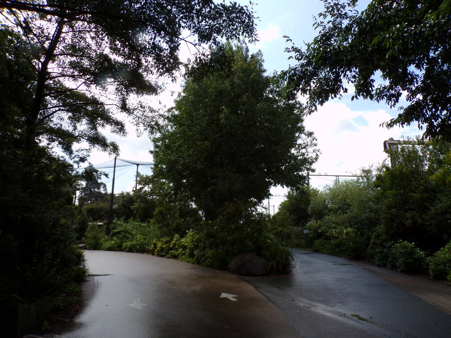 Africa- General view 13.7.23