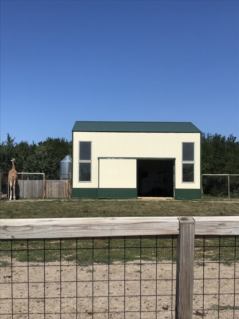 “Africa”- generic giraffe exhibit