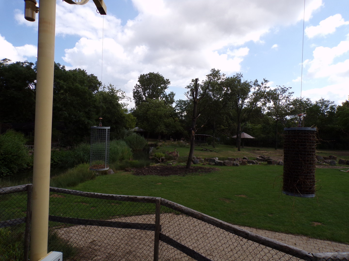 Africa- Giraffe and Greater kudu enclosure 13.7.23