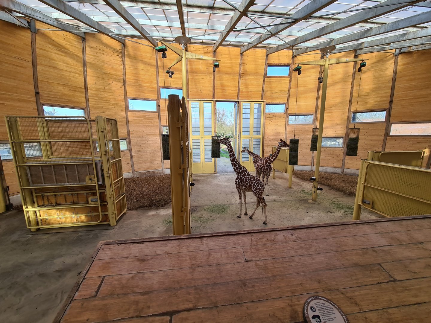Africa - Giraffe barn interior