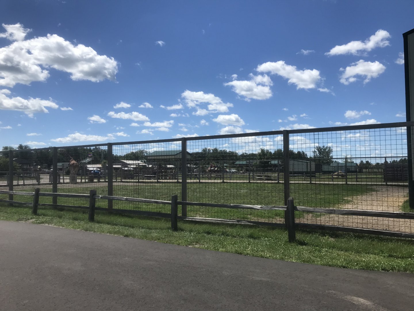 “Africa” - Giraffe Exhibit