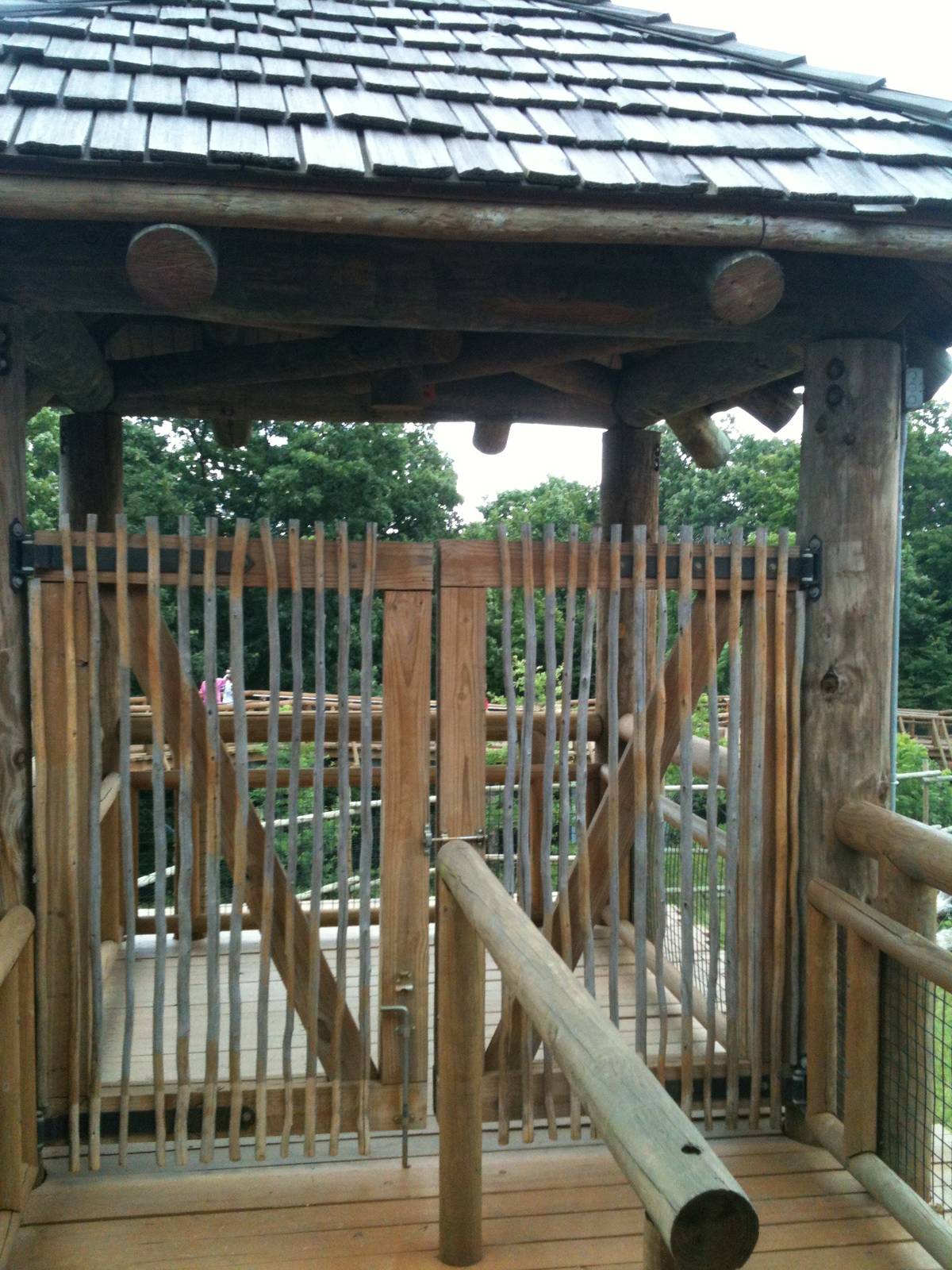 Africa-Giraffe feeding deck.