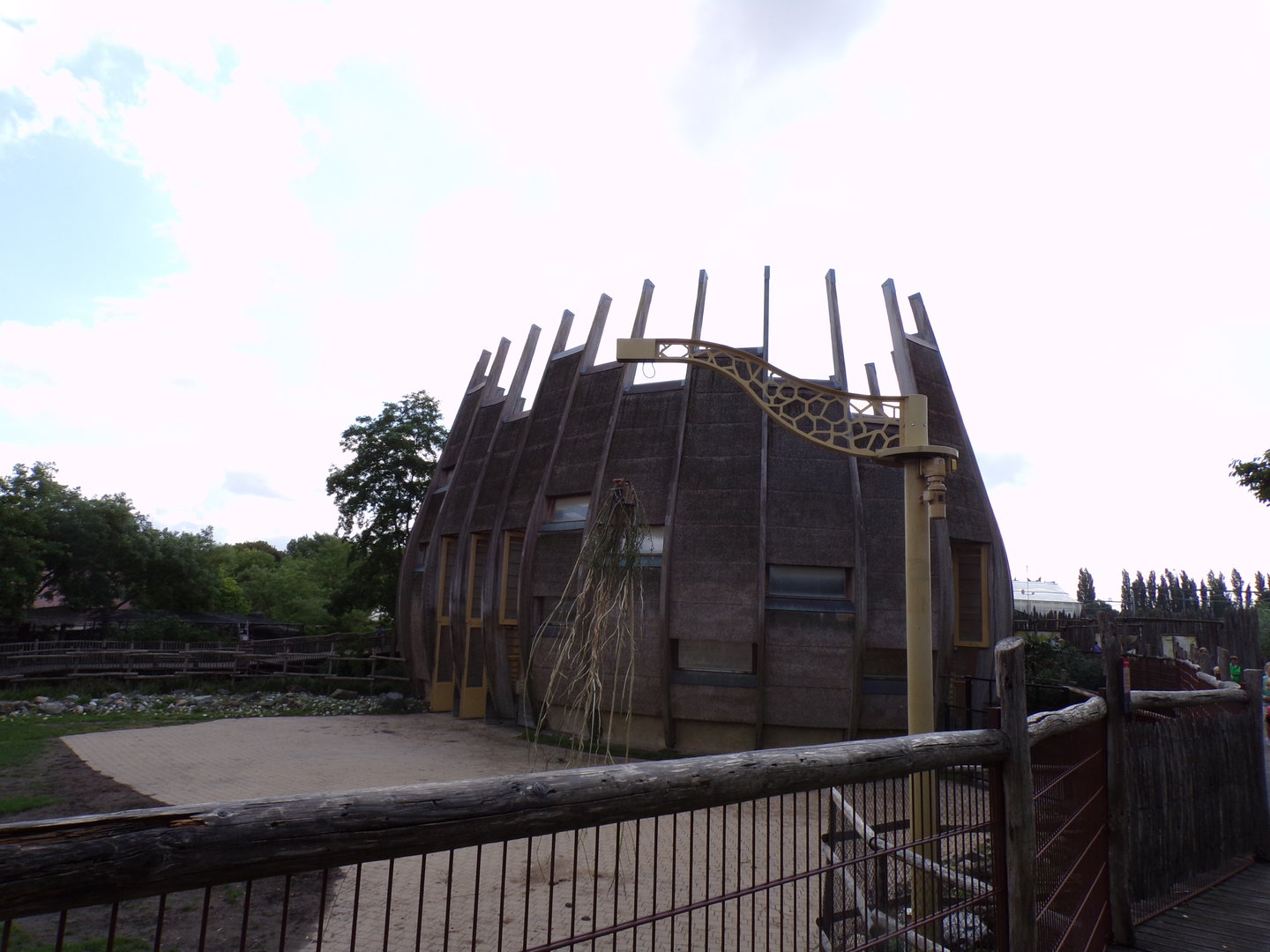 Africa- Giraffe house 13.7.23