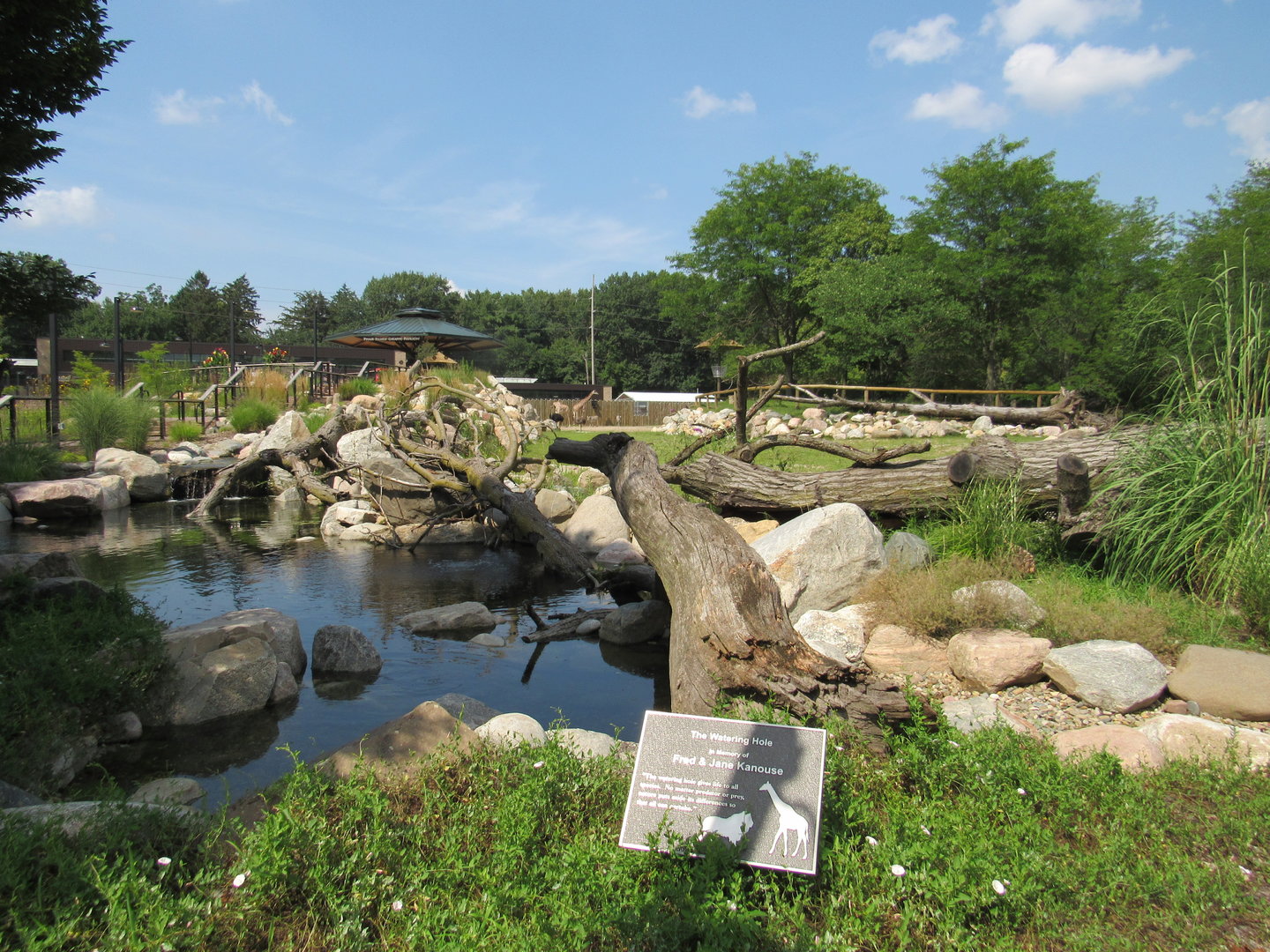 Africa - Giraffe Savanna water feature
