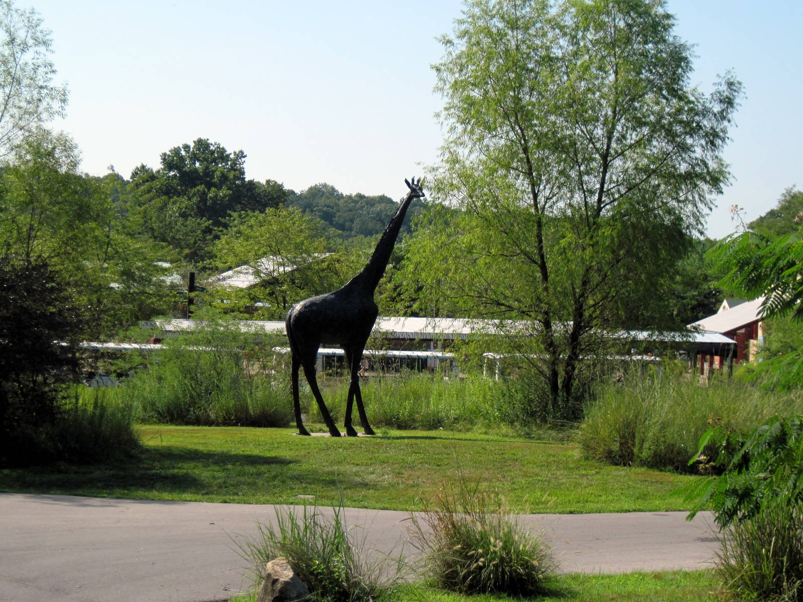 Africa-Giraffe Statue