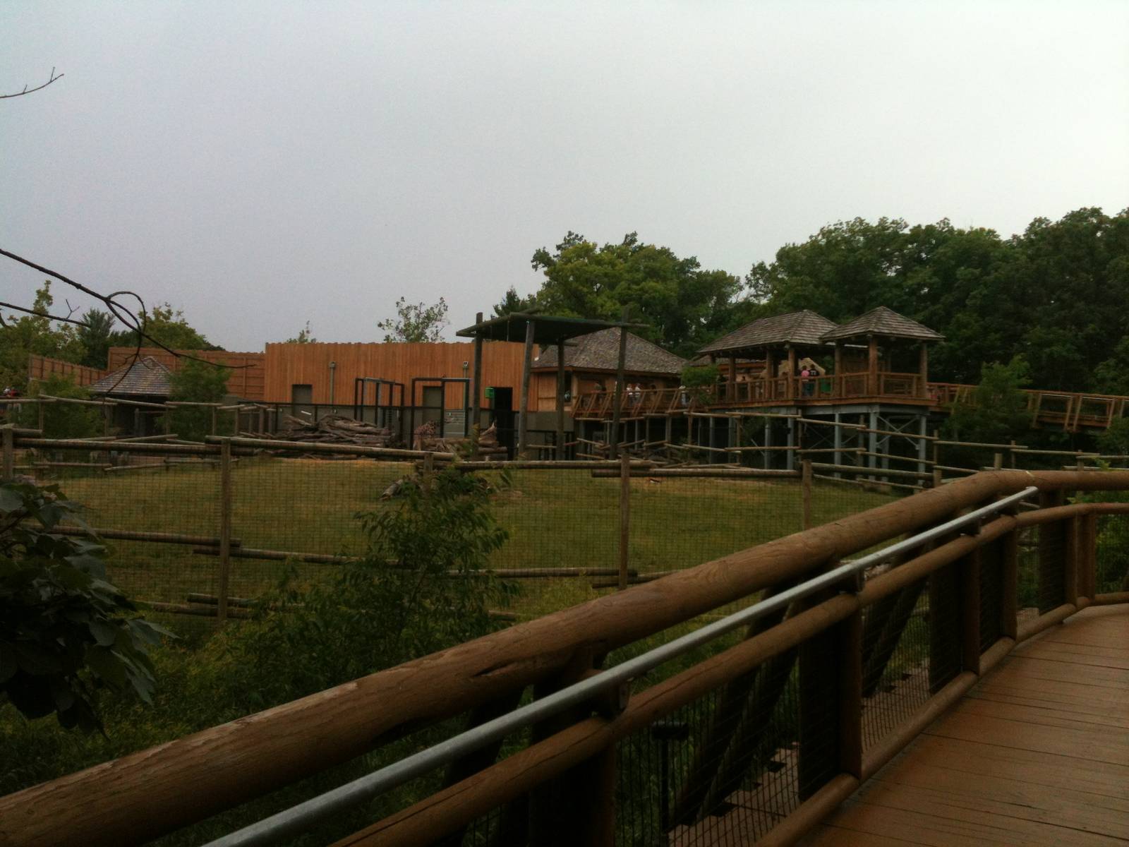 Africa-Giraffe, Thomson's gazelle, Gernuk exhibit.