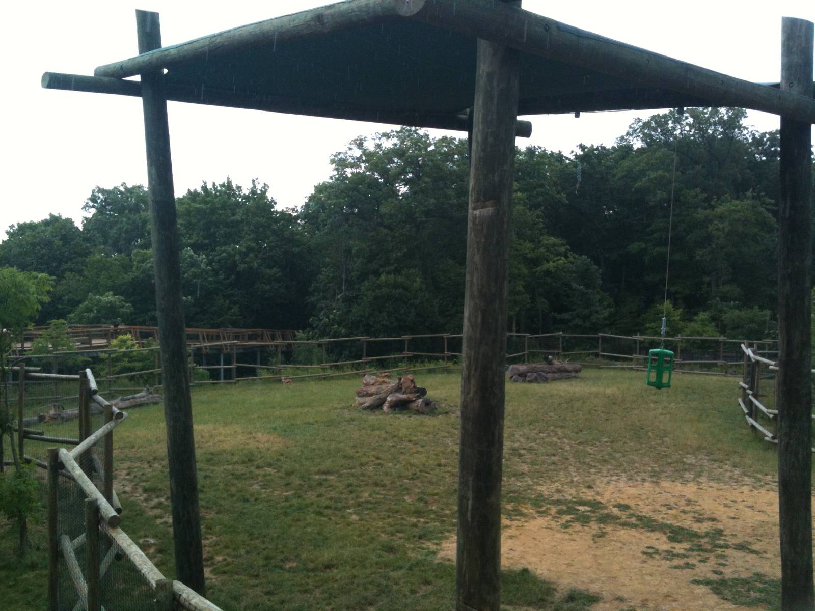 Africa-Giraffe, Thomson's gazelle, Gernuk exhibit.