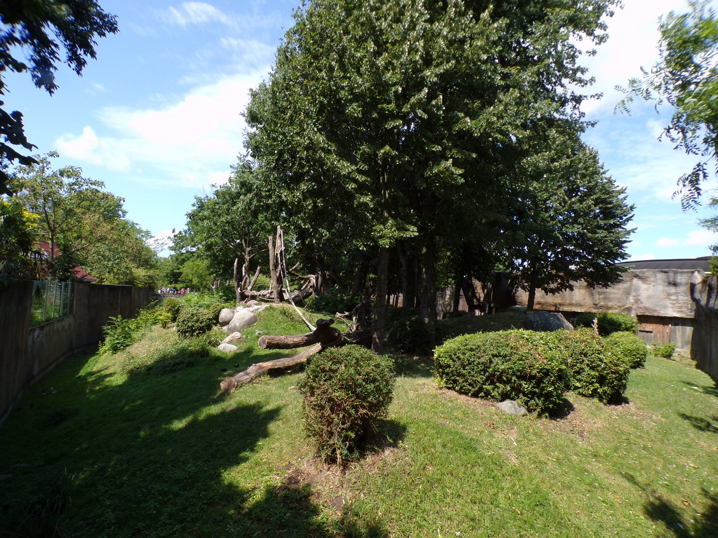 Africa- Gorilla enclosure 13.7.23