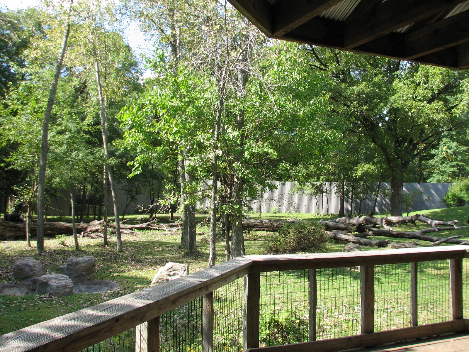 Africa - Gorilla Exhibit