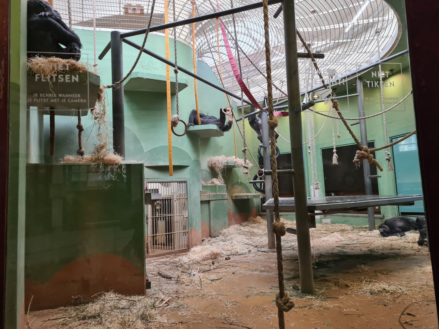 Africa - Gorilla indoor habitat