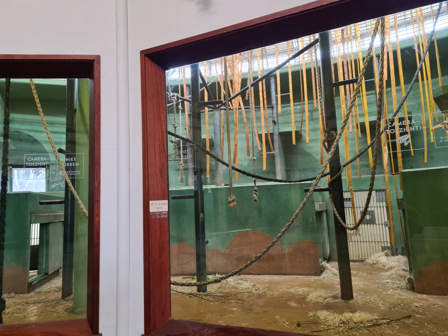 Africa - Gorilla indoor habitat