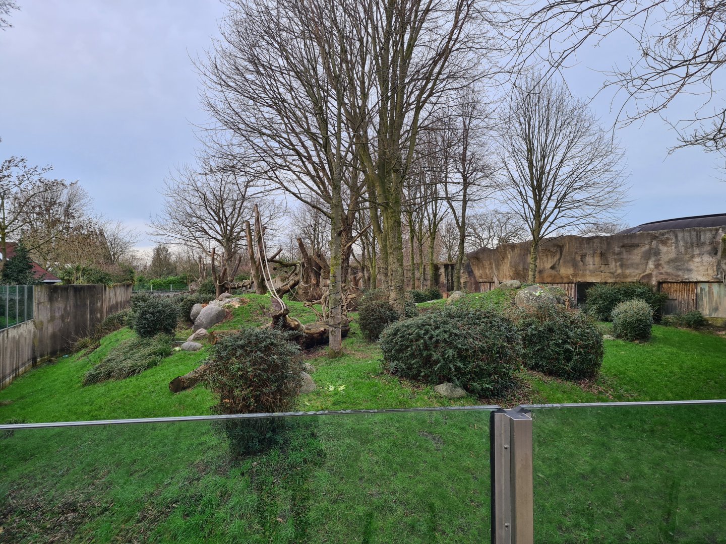 Africa - Gorilla valley