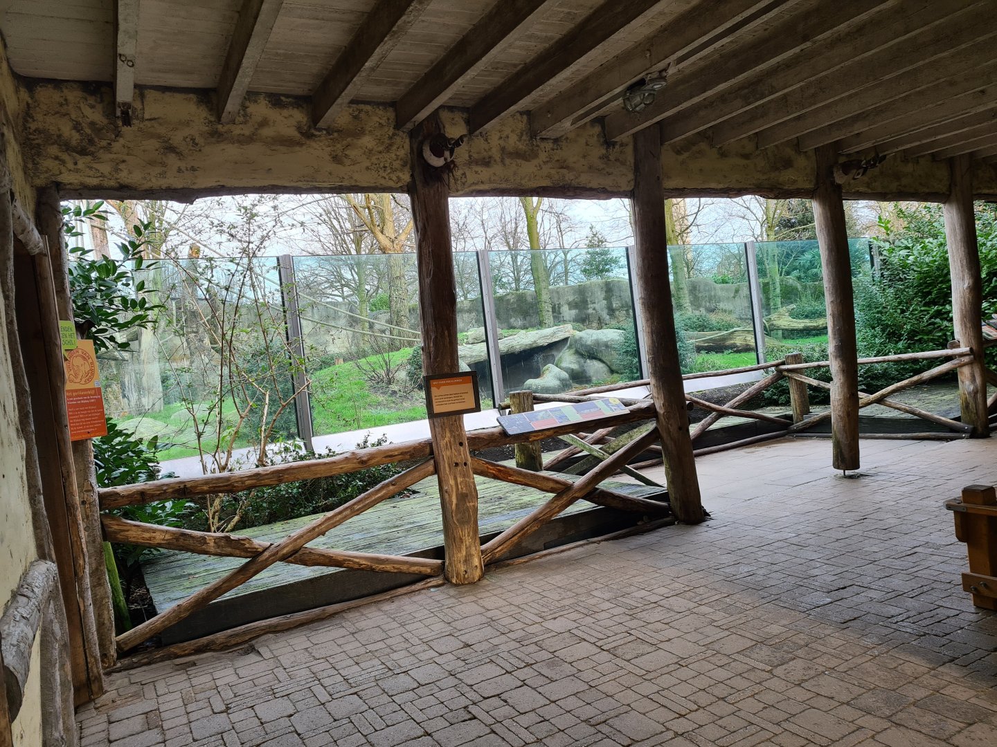 Africa - Gorilla viewing area