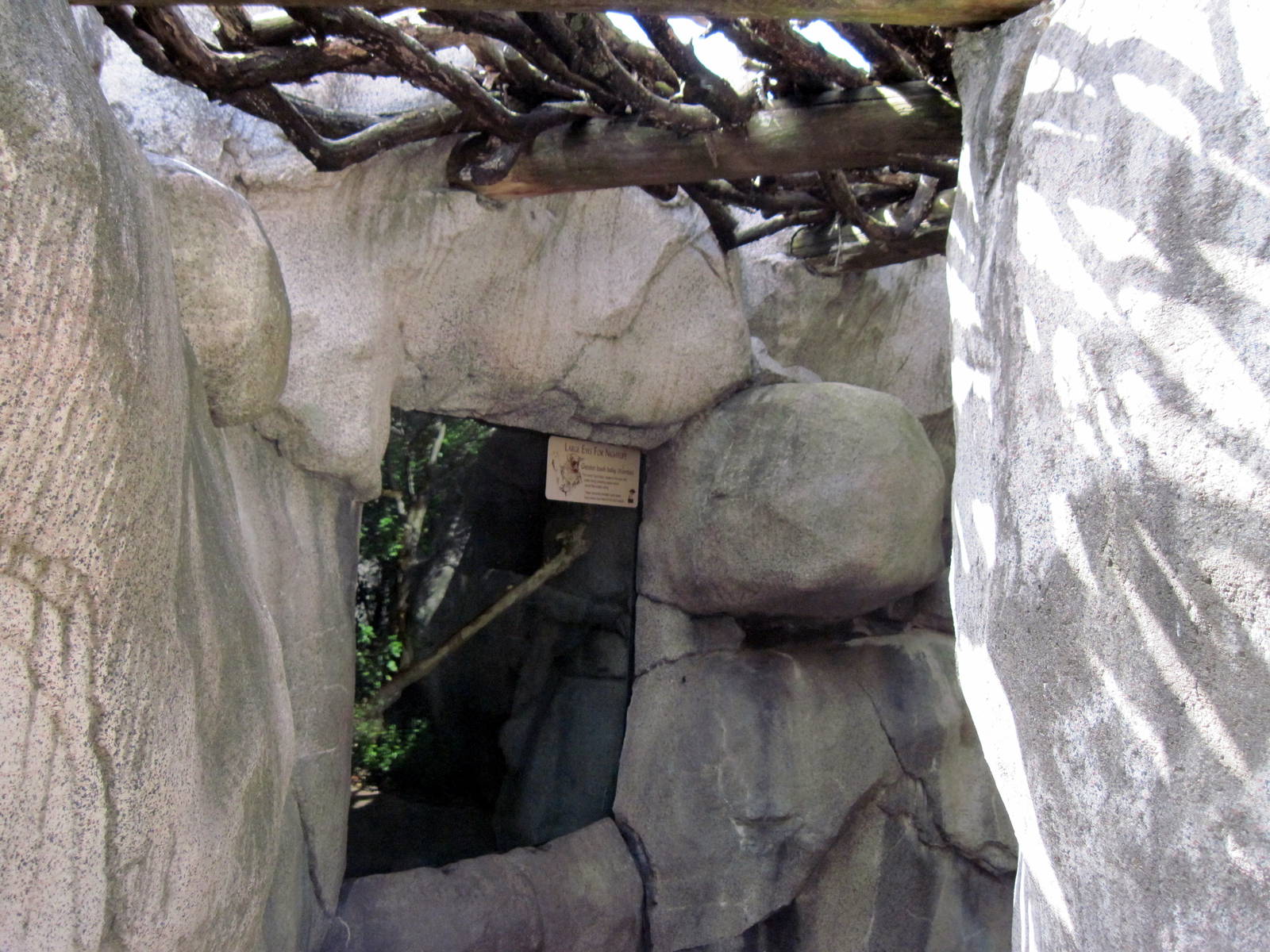 Africa-Greater Galago Exhibit