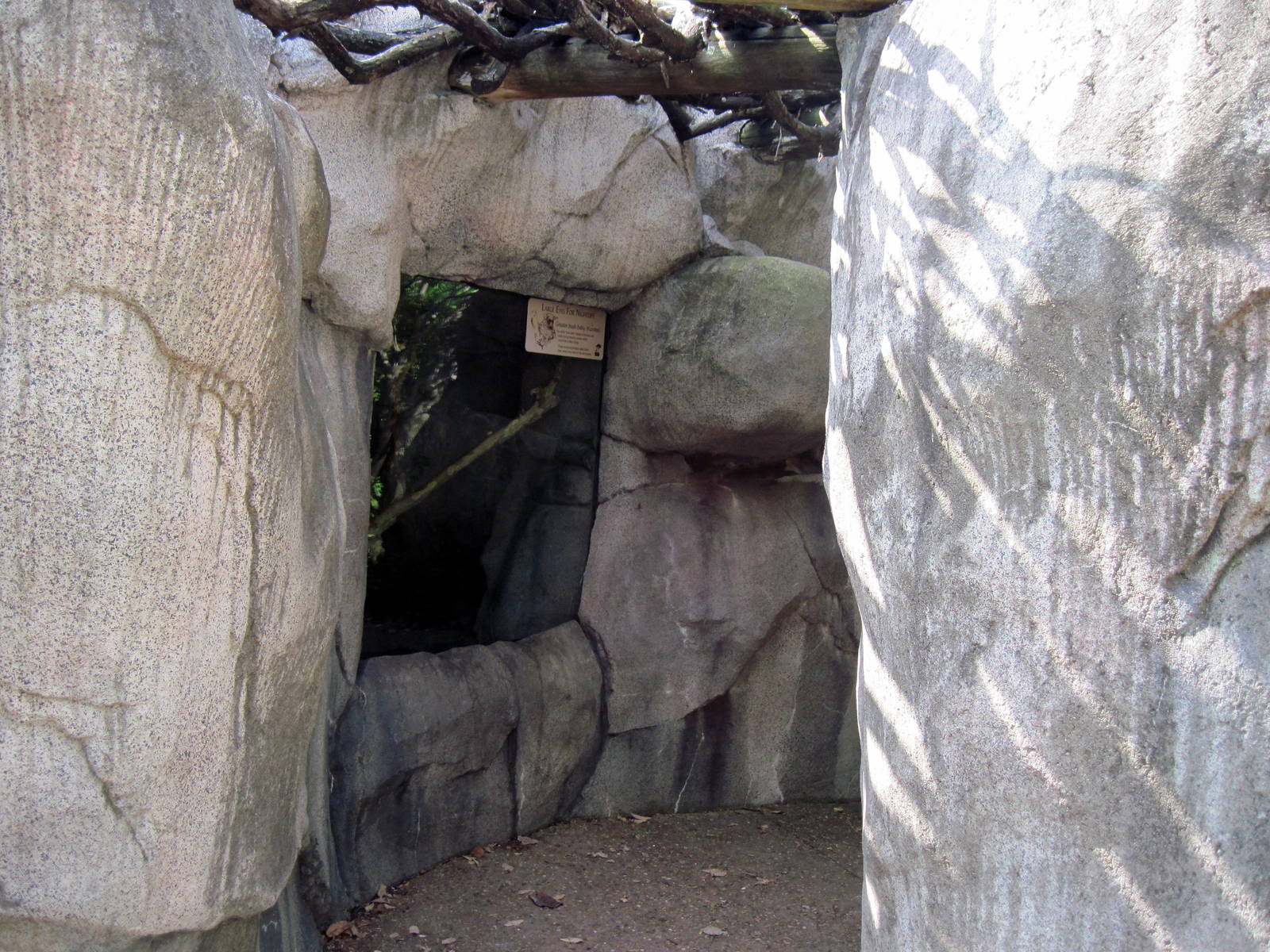 Africa-Greater Galago Exhibit