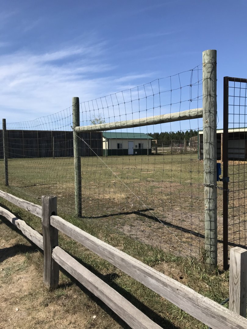 “Africa”- greater kudu exhibit
