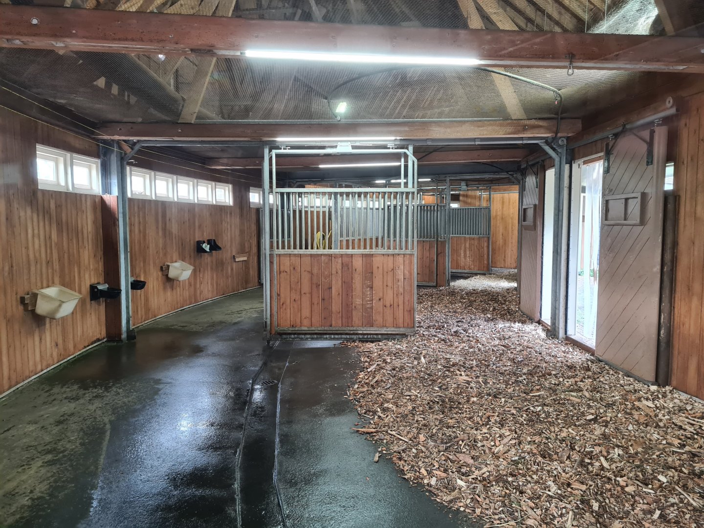 Africa - Greater kudu stables