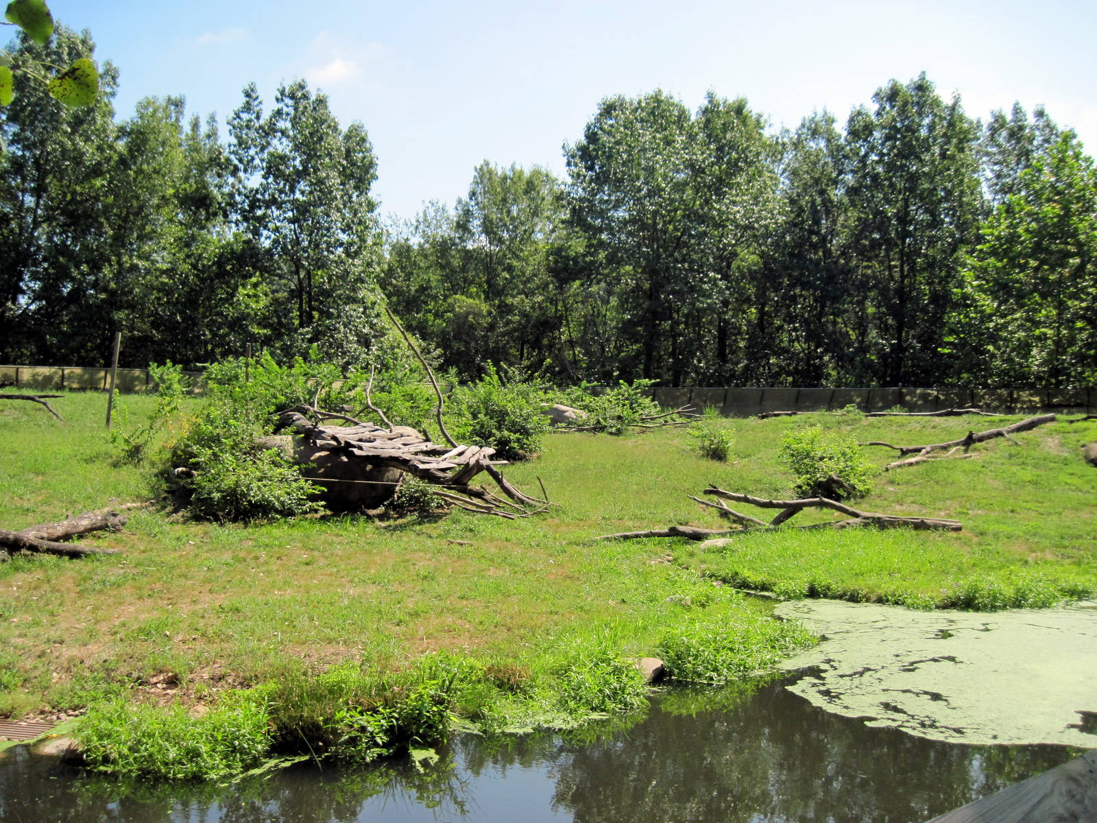 Africa-Guinea Baboon Exhibit