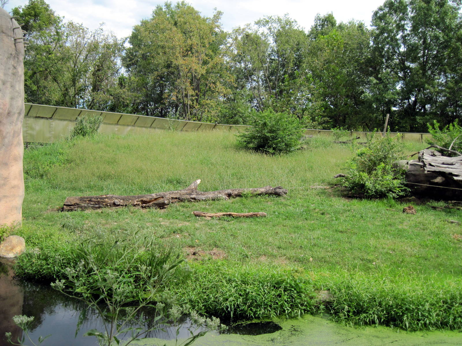 Africa-Guinea Baboon Exhibit