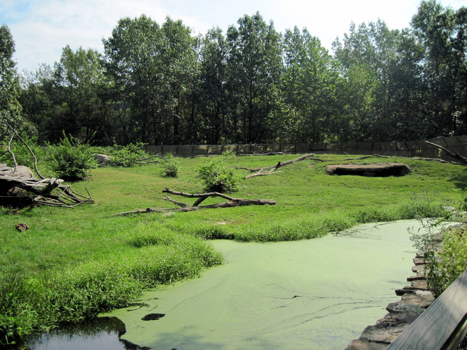 Africa-Guinea Baboon Exhibit